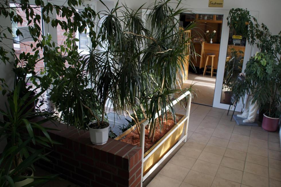 Landhotel Pagram-Frankfurt/Oder Frankfurt  Exterior photo